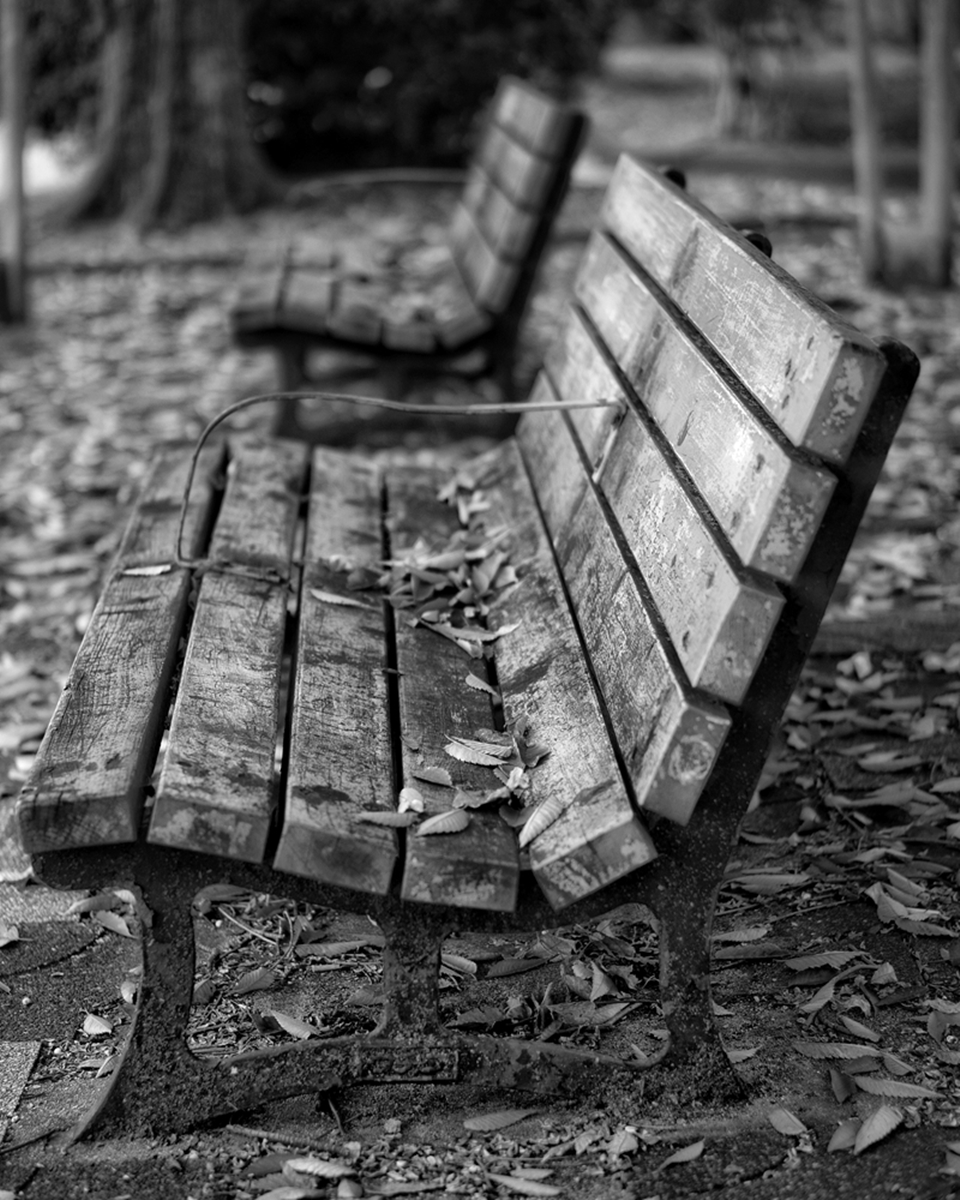 公園の古く青いベンチに落ち葉が載っている　モノクロ