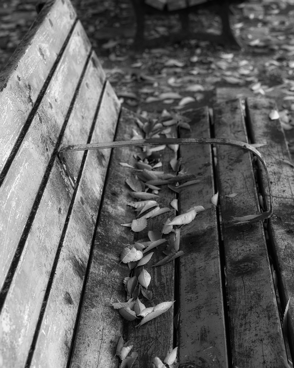 枯れ葉の落ちるベンチ　モノクロ